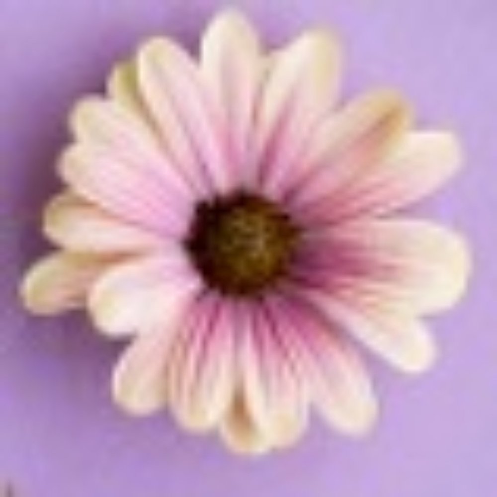 Meet your Posher, FabClothing4u!